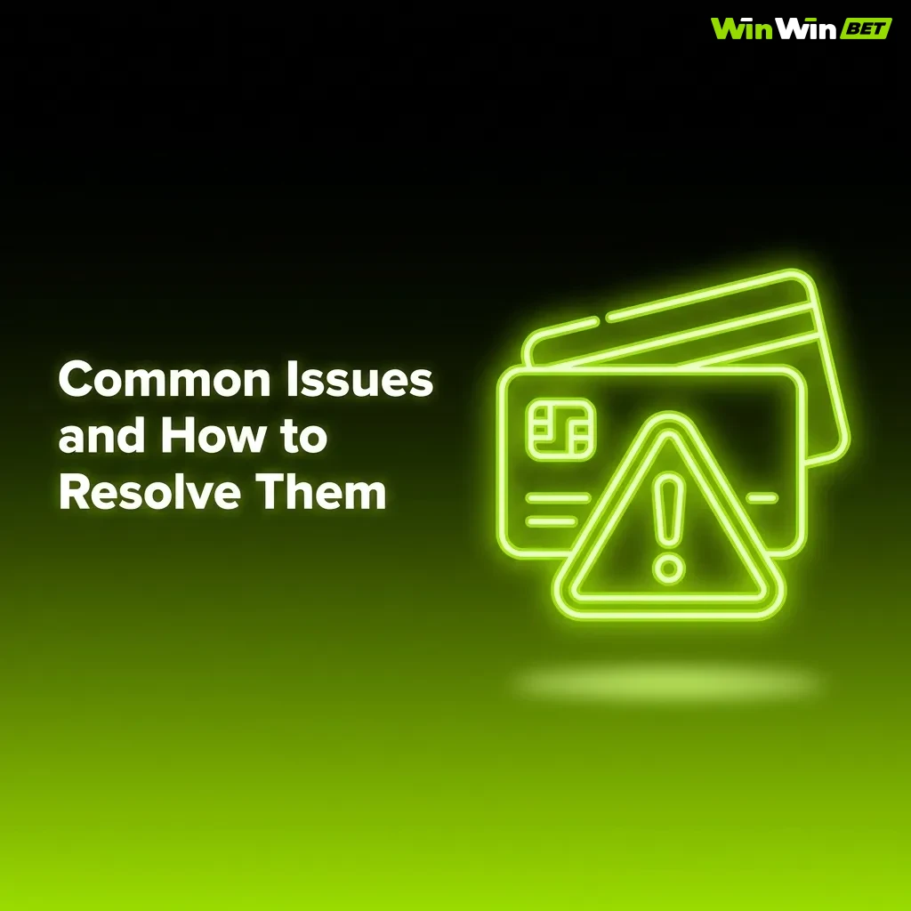 Troubleshooting guide showing common payment issues like declined transactions, delayed credits, and verification requirements.