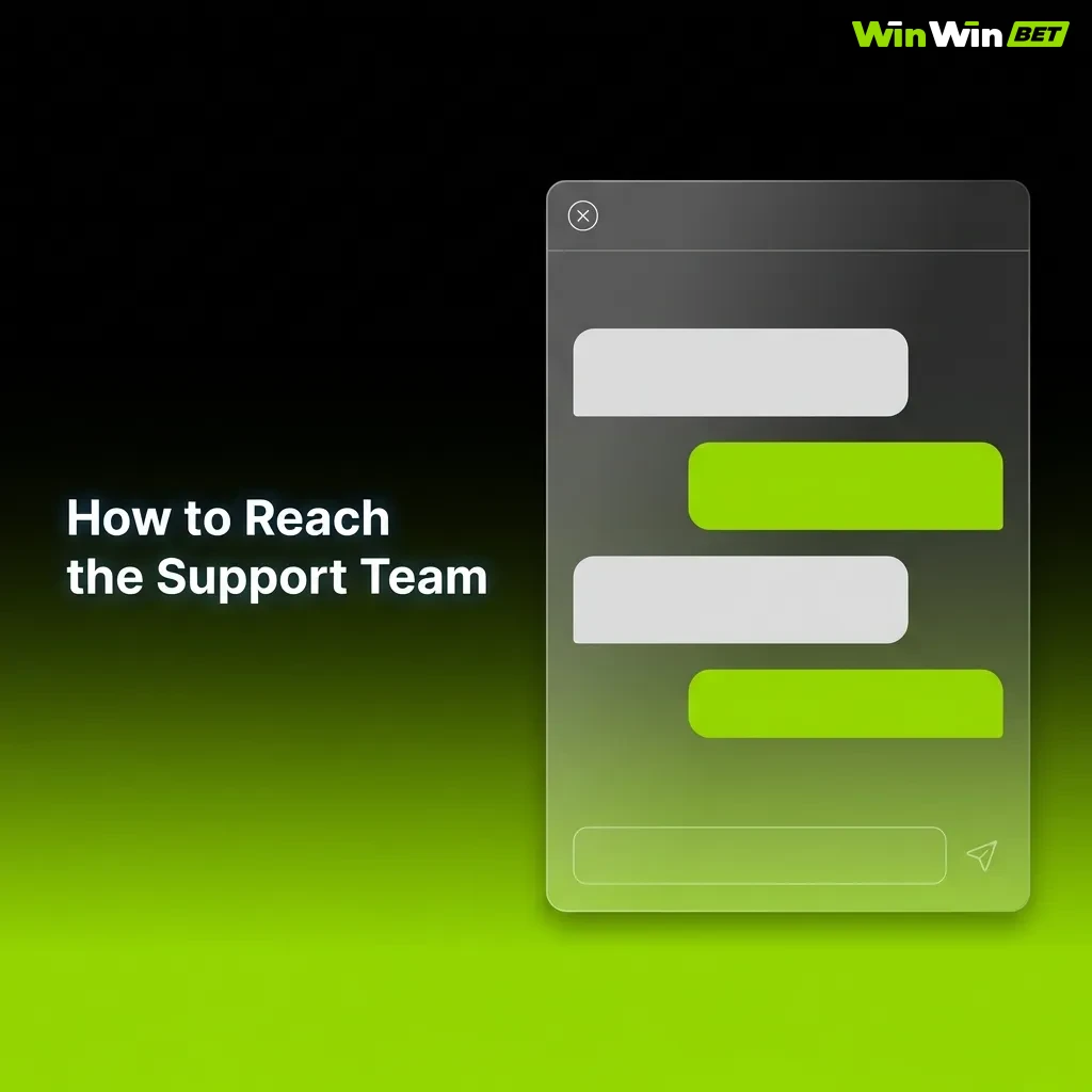 Customer support contact options including live chat, email, Telegram, and WhatsApp for 24/7 assistance